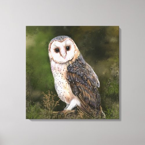 Western Barn Owl _ Migned Watercolor Painting Art  Canvas Print
