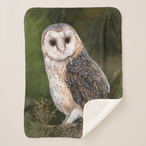 Western Barn Owl _ Migned Watercolor Painting Art  Sherpa Blanket