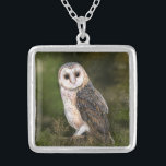 Western Barn Owl - Migned Watercolor Painting Art  Silver Plated Necklace<br><div class="desc">Western Barn Owl - Migned Watercolor Painting Art Beautiful Forest Bird</div>