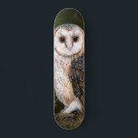 Western Barn Owl - Migned Watercolor Painting Art  Skateboard<br><div class="desc">Western Barn Owl - Migned Watercolor Painting Art Beautiful Forest Bird</div>