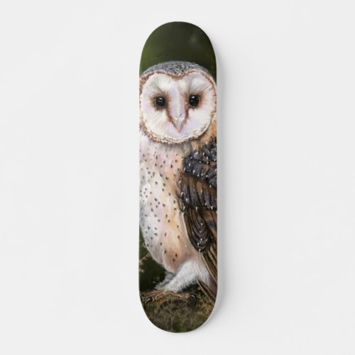 Western Barn Owl _ Migned Watercolor Painting Art  Skateboard