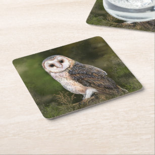 Western Barn Owl - Migned Watercolor Painting Art  Square Paper Coaster
