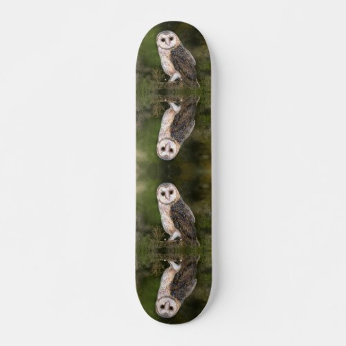 Western Barn Owl _ Migned Watercolor Painting _ Skateboard