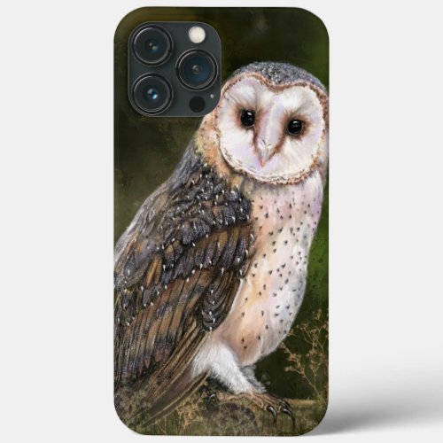 Western Barn Owl _ Painting  iPhone 13 Pro Max Case