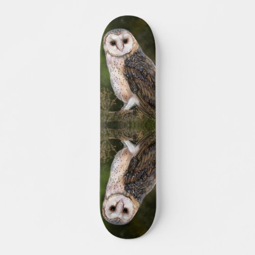 Western Barn Owl Skateboard