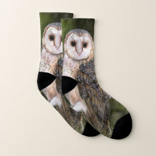 Western Barn Owl Socks Painting