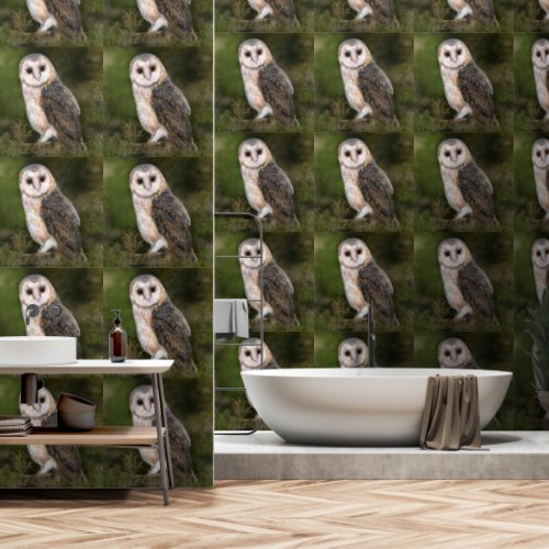 Western Barn Owl Wallpaper
