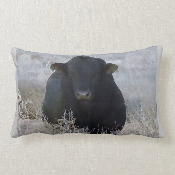 Western Black Bull In Winter Scene Lumbar Pillow by She_Wolf_Medicine at Zazzle