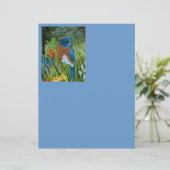 Western Bluebird (Standing Front)