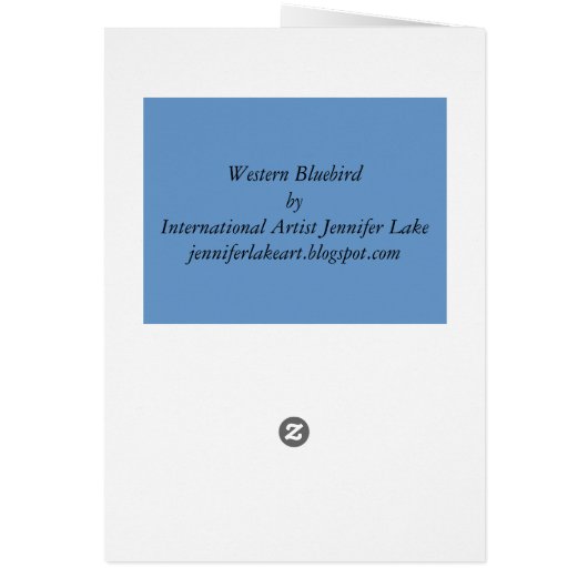 Western Bluebird (Back)