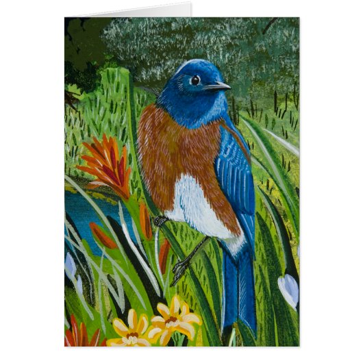 Western Bluebird (Front)