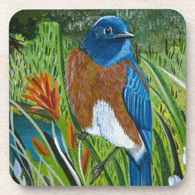 Western Bluebird Beverage Coaster (Front)