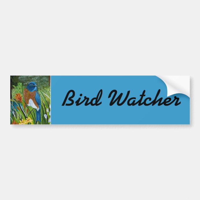 Western Bluebird Bumper Sticker (Front)