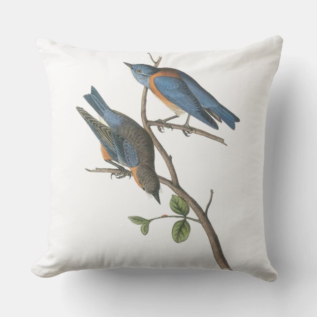 Western Bluebird by Audubon Throw Pillow (Front)