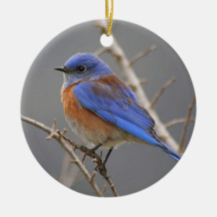 Western Bluebird Ceramic Ornament