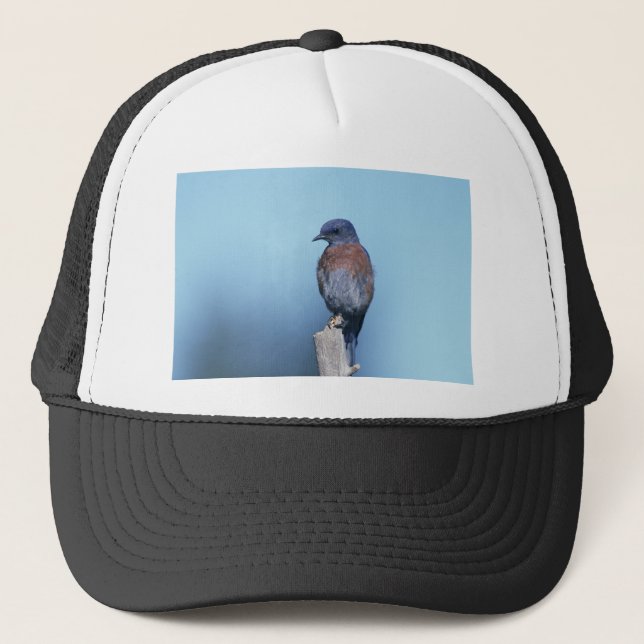 Western bluebird trucker hat (Front)