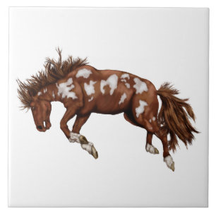 Western Bronco Ceramic Tile
