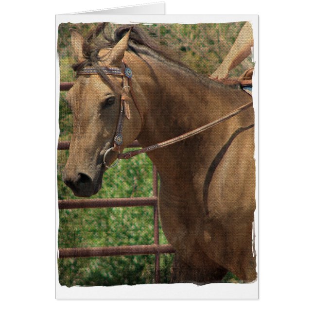 Western Buckskin Horse Cards (Front)