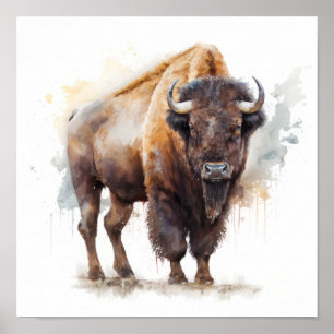 Western Buffalo Art Print Poster