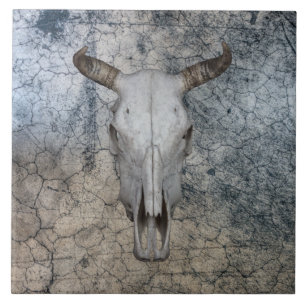 Western Bull Cow Cattle Skull   Ceramic Tile