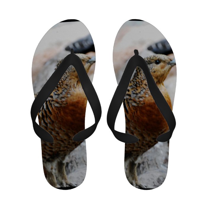 Western Capercaillie Flip Flops