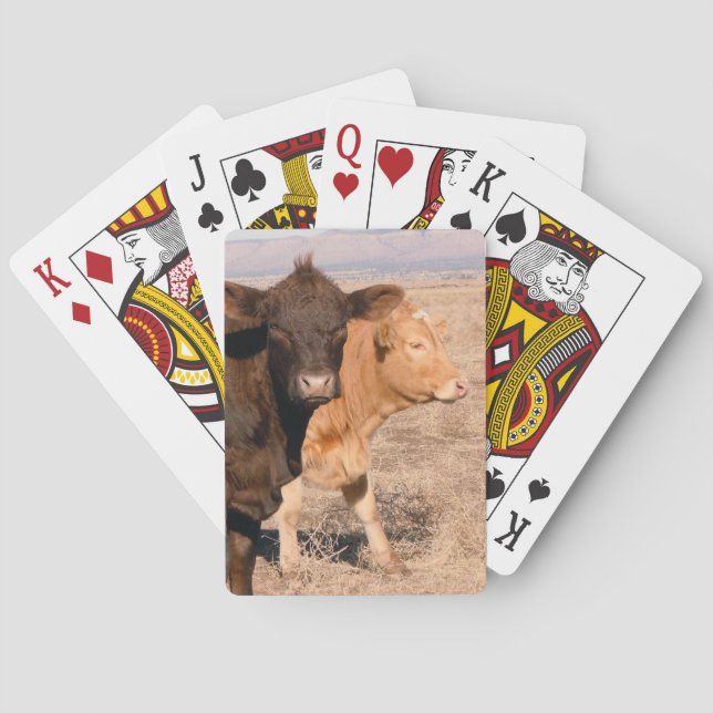Western Cattle Cows Walking Together Rural Scene Poker Cards (Back)