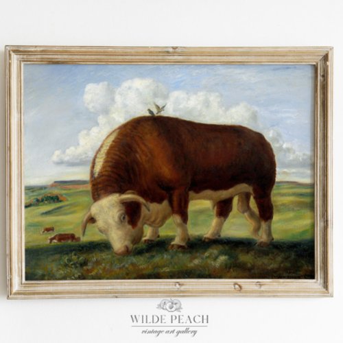 Western Cattle Vintage Farmhouse Painting Poster