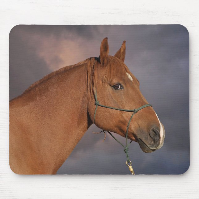 Western Chestnut Brown Horse Mouse Pad (Front)