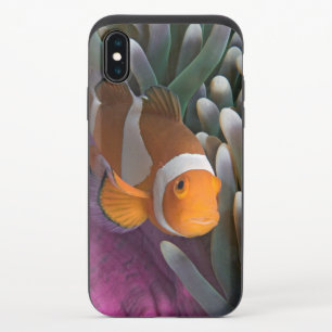 Western Clown Anemone Fish iPhone X Slider Case