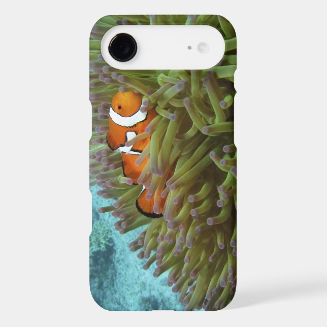 Western Clownfish ( Amphiprion ocellaris ) Case-Mate iPhone Case (Back)