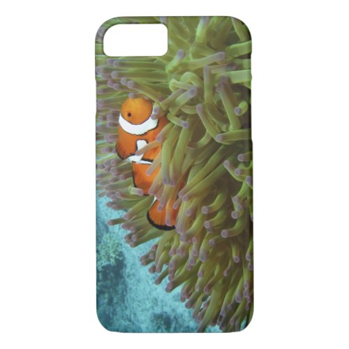 Western Clownfish  Amphiprion ocellaris  in iPhone 87 Case