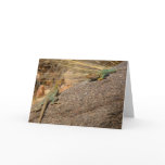 Western Collared Lizards in Colorado Card