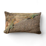 Western Collared Lizards in Colorado Lumbar Pillow