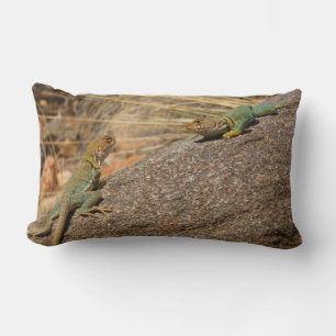 Western Collared Lizards in Colorado Lumbar Pillow