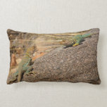Western Collared Lizards in Colorado Lumbar Pillow