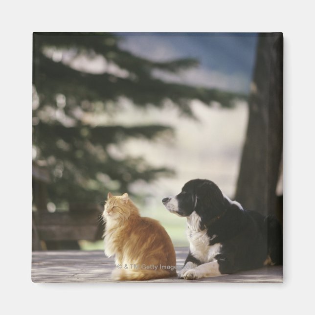 Western Colorado, USA Magnet (Front)