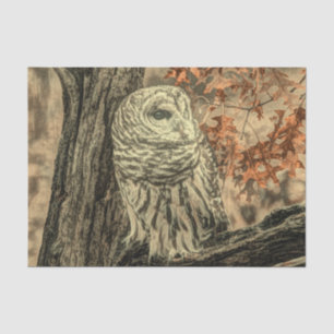 western country autumn leaves oak tree white owl tissue paper
