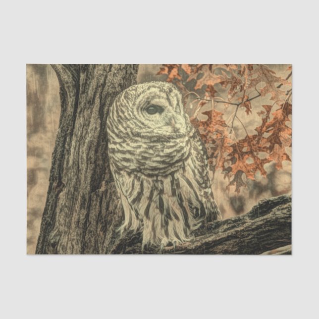 western country autumn leaves oak tree white owl tissue paper (Front)
