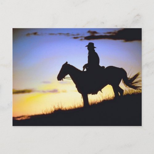 Western Cowboy Sunset Silhouette Postcard