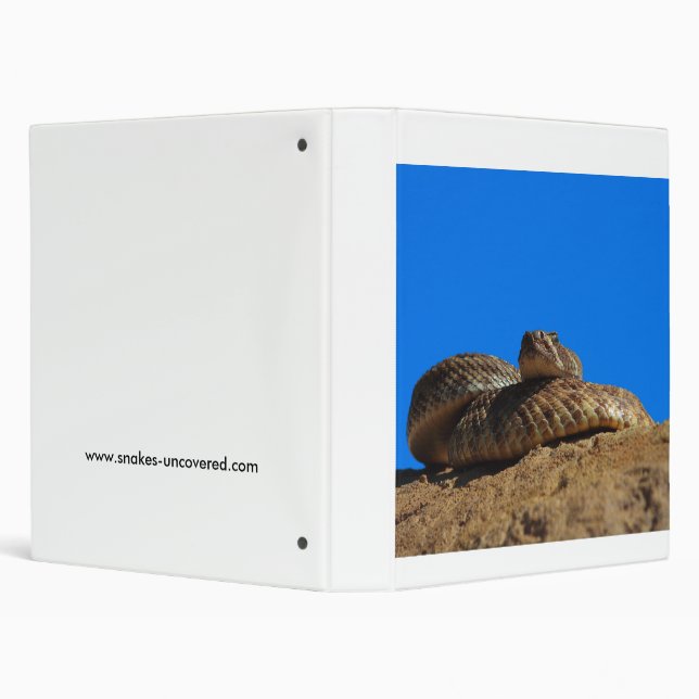 western diamondback rattlesnake binder (Background)