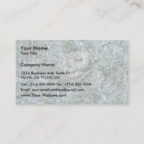 Western Diamondback Rattlesnake Business Card