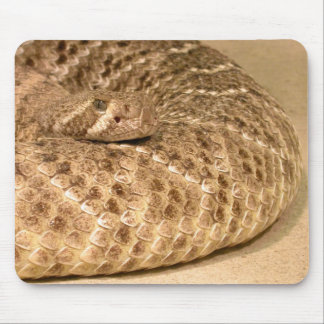 western diamondback rattlesnake mouse pad