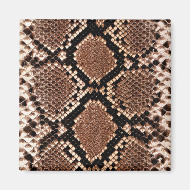 Western Diamondback Rattlesnake Skin Magnet (Front)