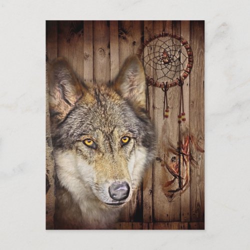 Western dream catcher  native american indian wolf postcard
