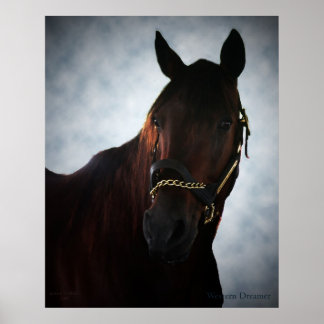 Western Dreamer Poster