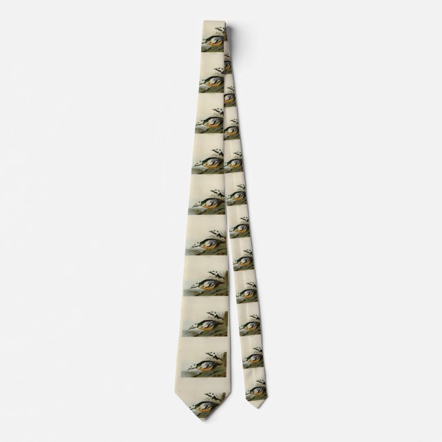 Western Duck from Audubon's Birds of America Neck Tie (Front)