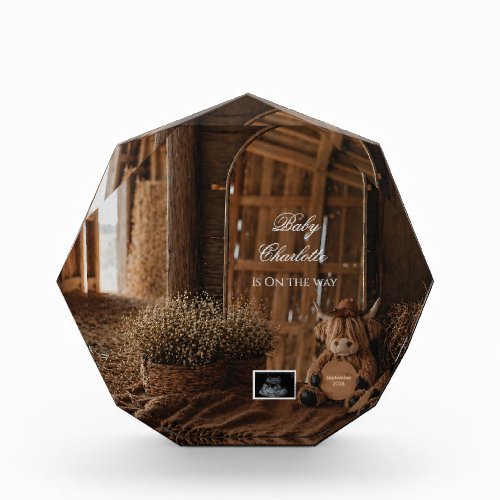 Western Farm Pregnancy Announcement Mirror reveal  Photo Block