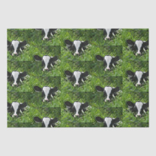  Western Farm Ranch Holstein Calf In Grass   Tissue Paper