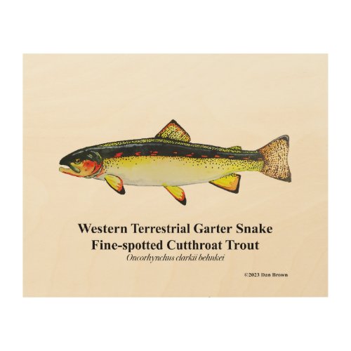 Western Garter Cutthroat Trout Wood 10x8 Wood Wall Art