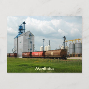 Western Grain Elevator Postcard
